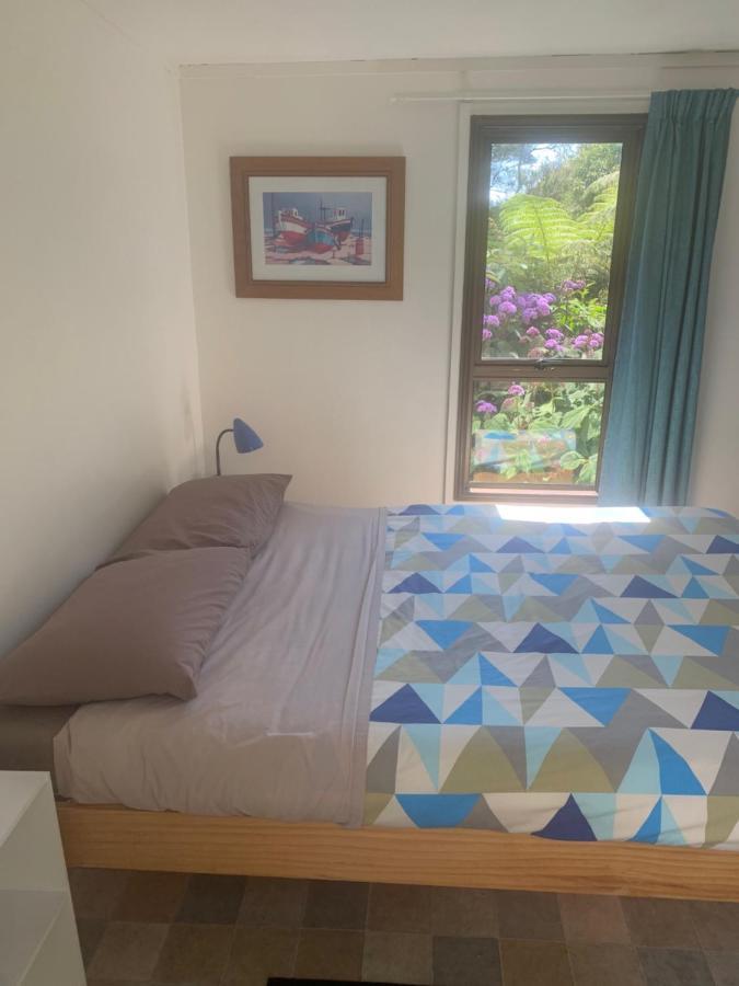 Pickled Parrot - Boutique Hostel Paihia Ngoại thất bức ảnh